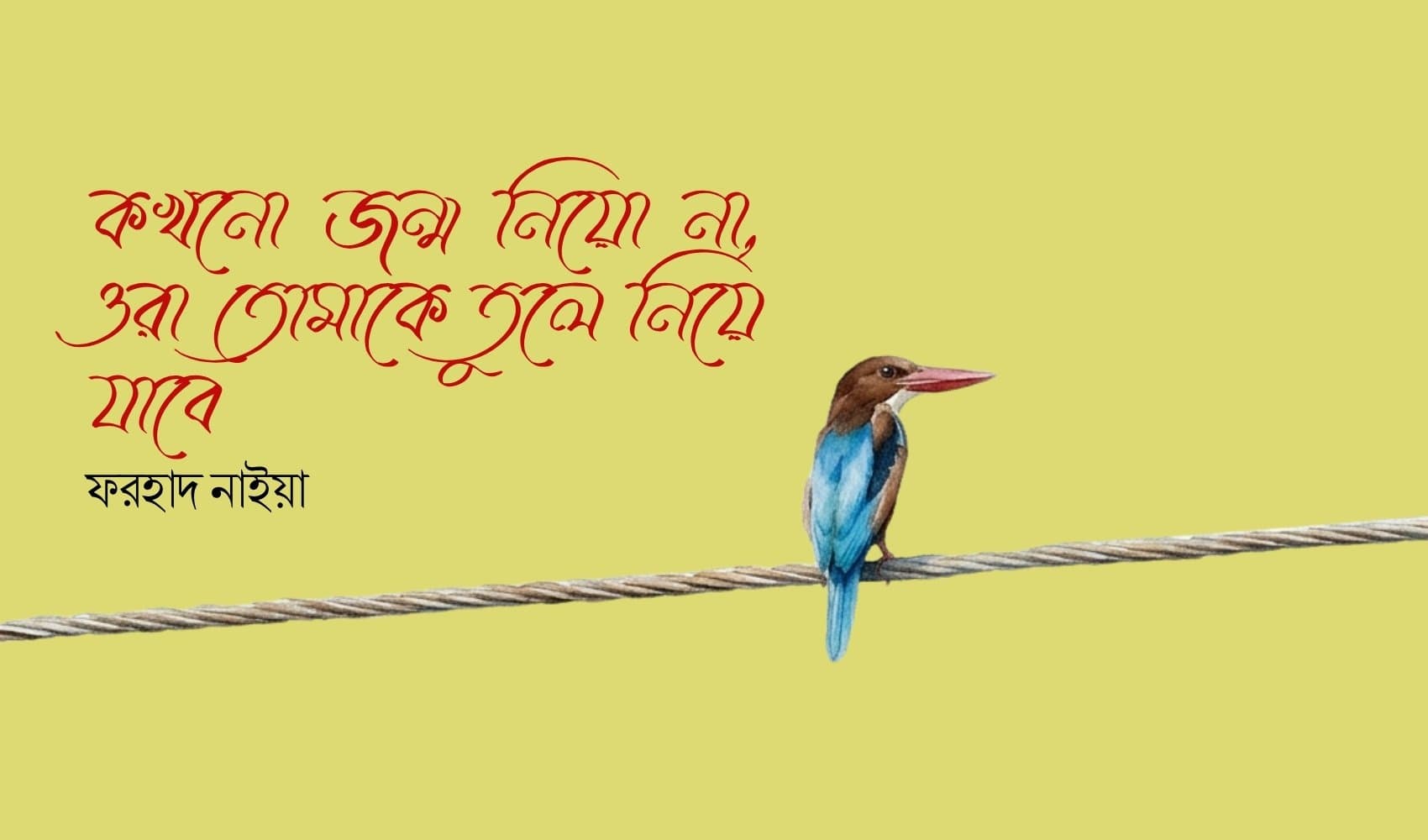 কখনো জন্ম নিয়ো না, ওরা তোমাকে তুলে নিয়ে যাবে